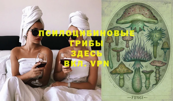 мескалин Дмитриев