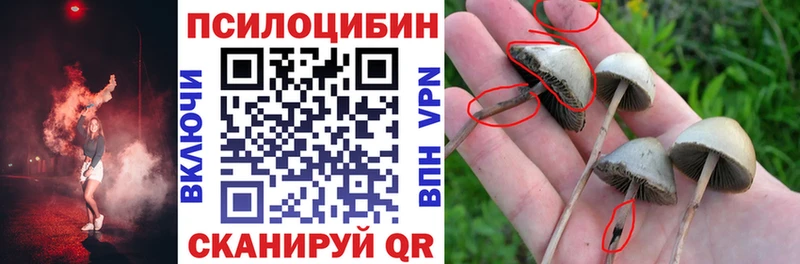 Галлюциногенные грибы мухоморы  купить закладку  Уржум 